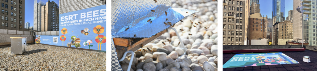 Empire State Realty Trust Announces ESRT Bees with Beehives at the Empire State Building and Three Other NYC Properties