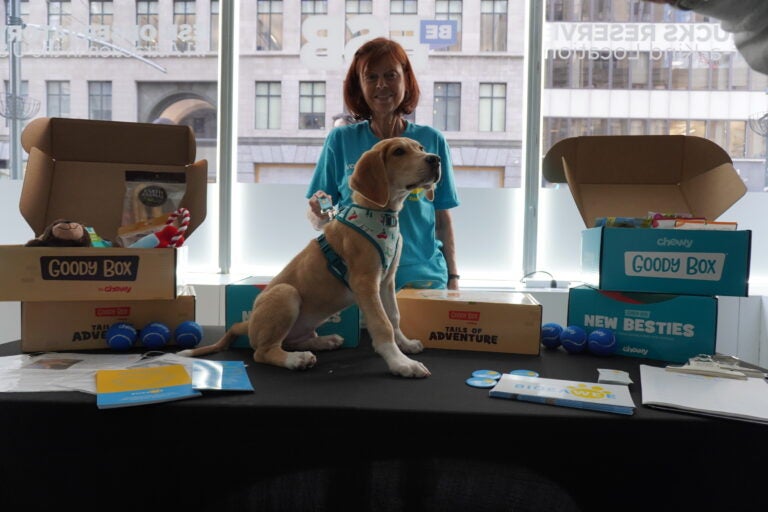 Observatory visits with pet for National Pet Day at Empire State Building