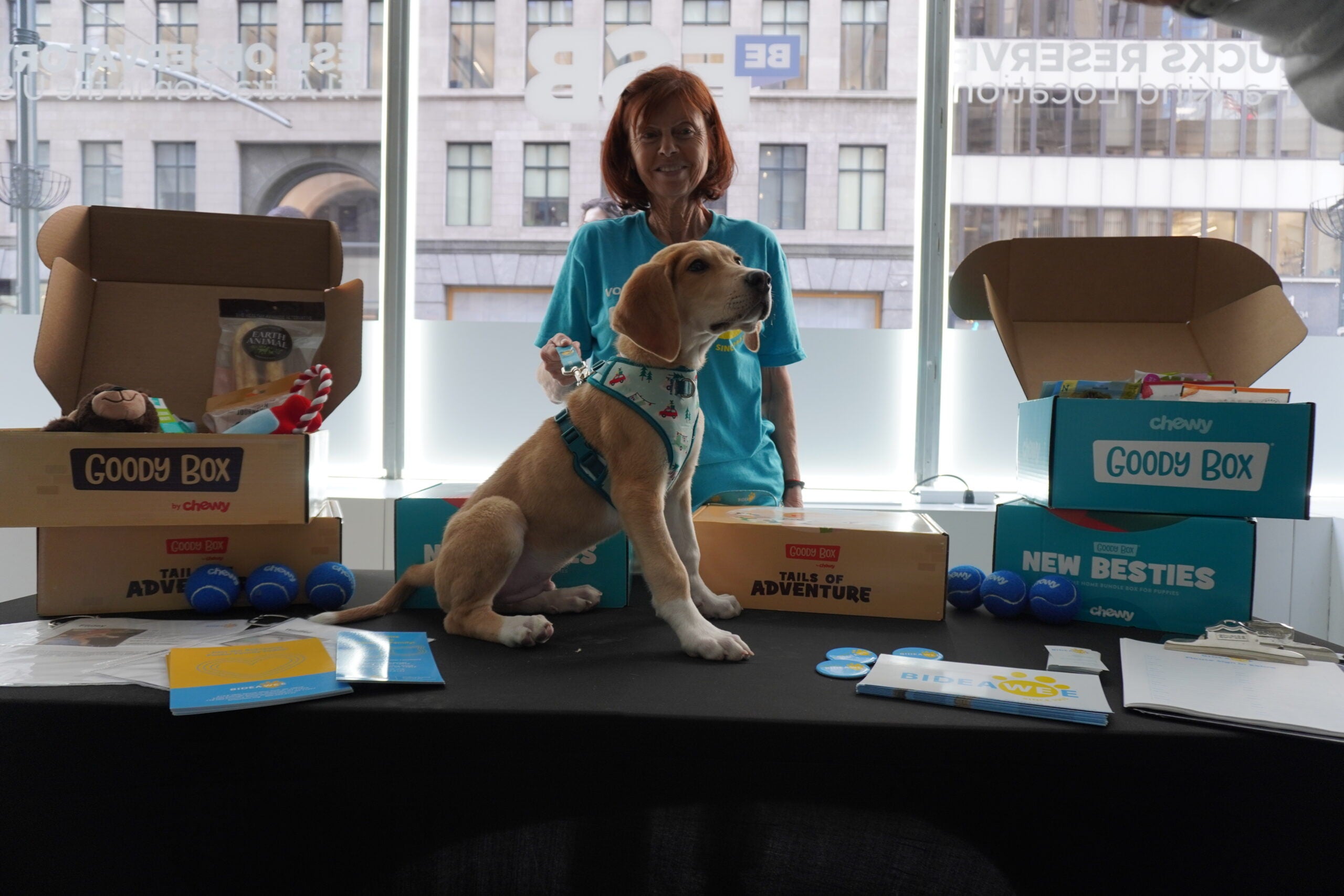 Observatory visits with pet for National Pet Day at Empire State Building
