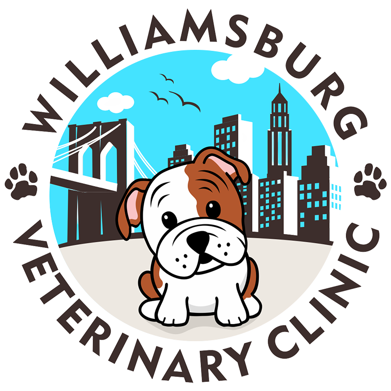williamsburg veterinary clinic logo