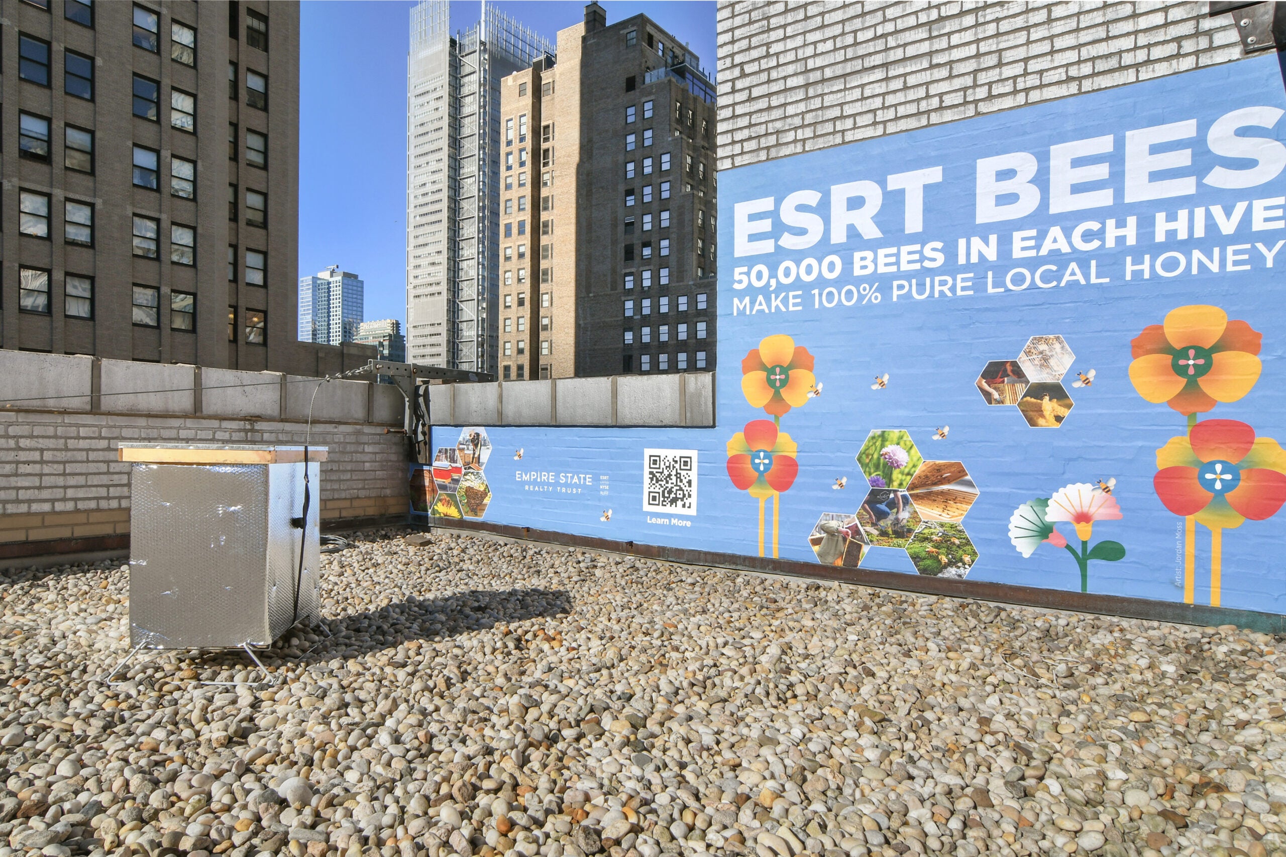 All the Buzz: New Tiny Tenants at ESRT! | ESRT